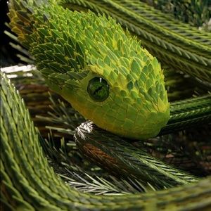 Meet your Posher, Jay